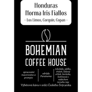 Honduras Norma Iris Fiallos