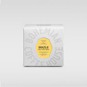 Brazil Paulo Toledo Campos