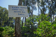 Ethiopia Kayon Shakiso