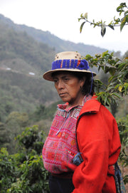 Guatemala FTO Women Producers